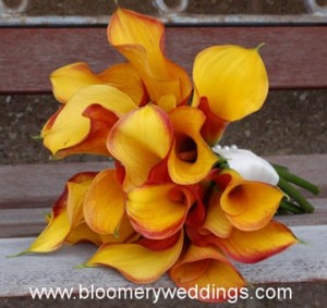 bloomerweddings