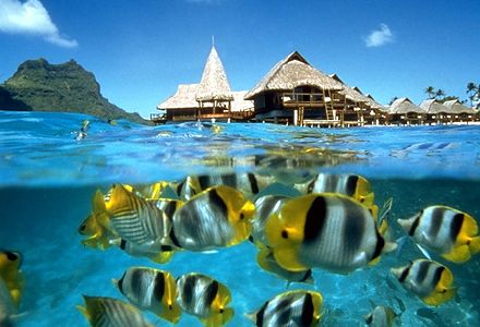 borabora6 borabora6